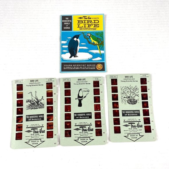 Tru-Vue Film Cards Set of 3 Stereoview Bird Life Ornithology Young Scientist VTG - Picture 1 of 8